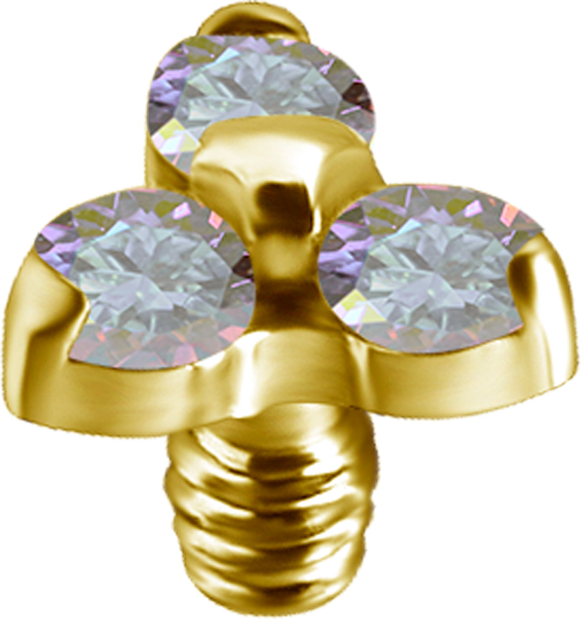 GD TT int TRINITY ATTACHMENT