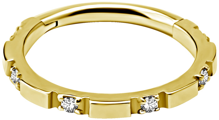 GD 316 HINGED RING SET with Jewels